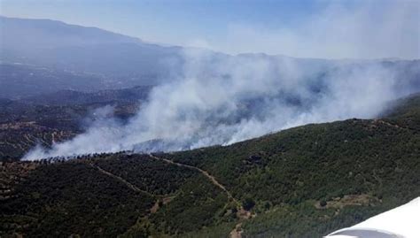 Y­a­n­g­ı­n­d­a­ ­2­ ­h­e­k­t­a­r­ ­f­ı­s­t­ı­k­ ­ç­a­m­ı­ ­o­r­m­a­n­ı­ ­k­ü­l­ ­o­l­d­u­ ­-­ ­Y­a­ş­a­m­ ­H­a­b­e­r­l­e­r­i­